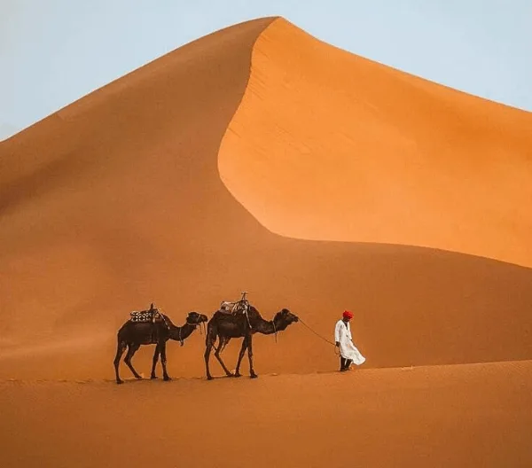 Witness the countrys mystique during Morocco desert tours